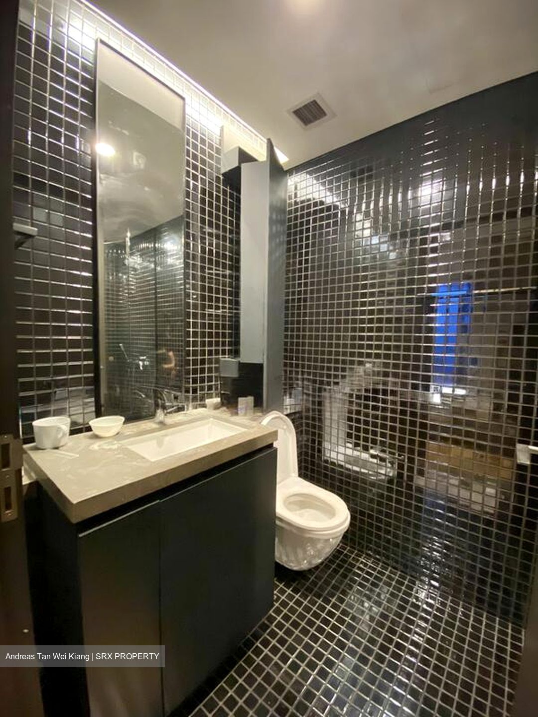 Skysuites@Anson (D2), Apartment #501985311